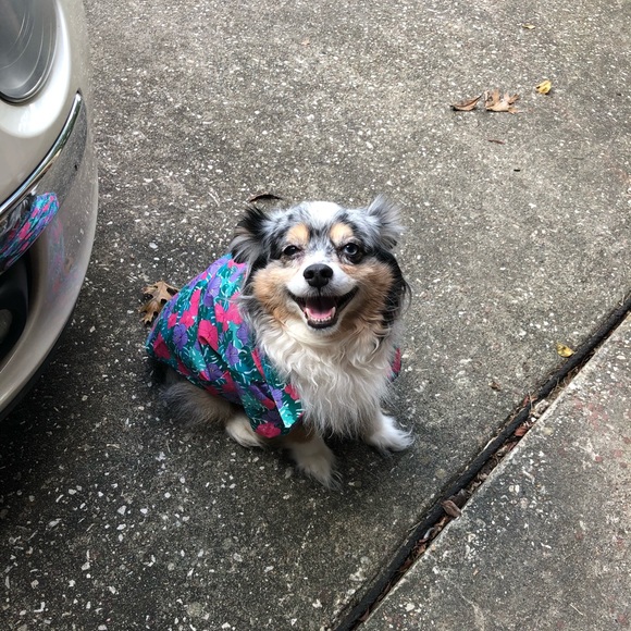 Meet your Posher, Kathleen - Picture 5 of 7